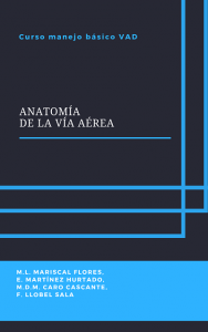 Anatomía de la Vía aérea